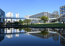 2025年澳门博彩在线公共卫生学院“夏令营”