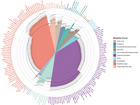 澳门博彩在线公共卫生学院胡付兰副教授团队在《European Journal of Epidemiology》上发表文章