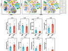 澳门博彩在线刘甲野课题组在《Frontiers in Immunology》发表&nbsp;HIV 免疫重建机制研究成果