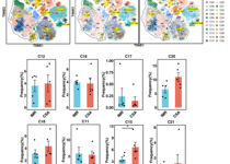 澳门博彩在线刘甲野课题组在《Frontiers in Immunology》发表&nbsp;HIV 免疫重建机制研究成果