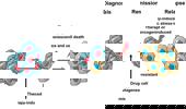 Genome Instability & Disease Volume 1. Issue 6 简介