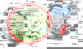 Genome Instability & Disease Volume 1. Issue 1 简介