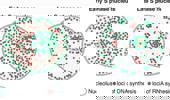 Genome Instability & Disease Volume 1. Issue 3 简介