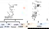 Genome Instability & Disease Volume 1. Issue 2 简介