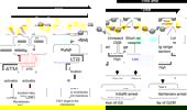 Genome Instability & Disease Volume 1. Issue 4 简介