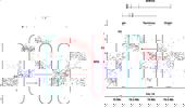 Genome Instability & Disease Volume 1. Issue 5 简介