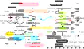 Genome Instability & Disease Volume 3. Issue 4 简介