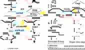 Genome Instability & Disease Volume 3. Issue 5 简介