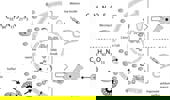 Common hotspots of cancer chemotherapy