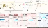 Genome Instability & Disease Volume 4. Issue 5 简介