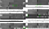 Genomic instability evaluation in different cell line by random amplified polymorphic DNA-PCR analysis