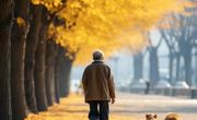 平行病历｜独立行走计划