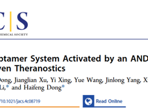 澳门博彩在线董海峰教授团队在J. Am. Chem. Soc.发表了一种基于“与”逻辑门的诊疗新策略研究成果