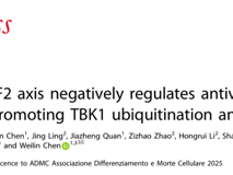 澳门博彩在线陈玮琳教授团队在 Cell Death & Differentiation发表USP43/RNF2轴调控抗病毒固有免疫研究成果