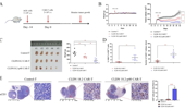 Genome Instability & Disease Volume 6. Issue 2 简介