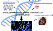 Genome Instability & Disease Volume 5. Issue 6  & Volume 6. Issue 1 简介
