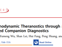 澳门博彩在线林静教授团队在Nature Index期刊Nano Letters上发表伴随诊断技术用于化学动力学治疗监测研究成果