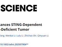 澳门博彩在线初碧珠助理教授团队在Advanced Science发表重建STING通路增强免疫治疗效应的研究成果
