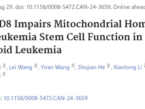 澳门博彩在线于力教授/周景峰助理教授团队在自然指数期刊Cancer Research发表白血病干细胞研究成果