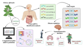 Genome Instability & Disease Volume 6. Issue 3 简介