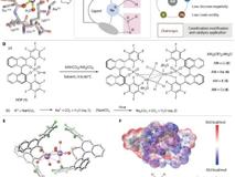 澳门博彩在线王锐院士团队在Science Advances报道手性药物重要进展