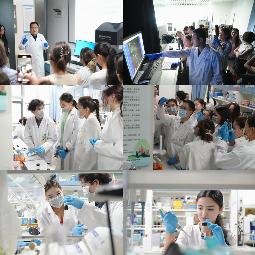 lab