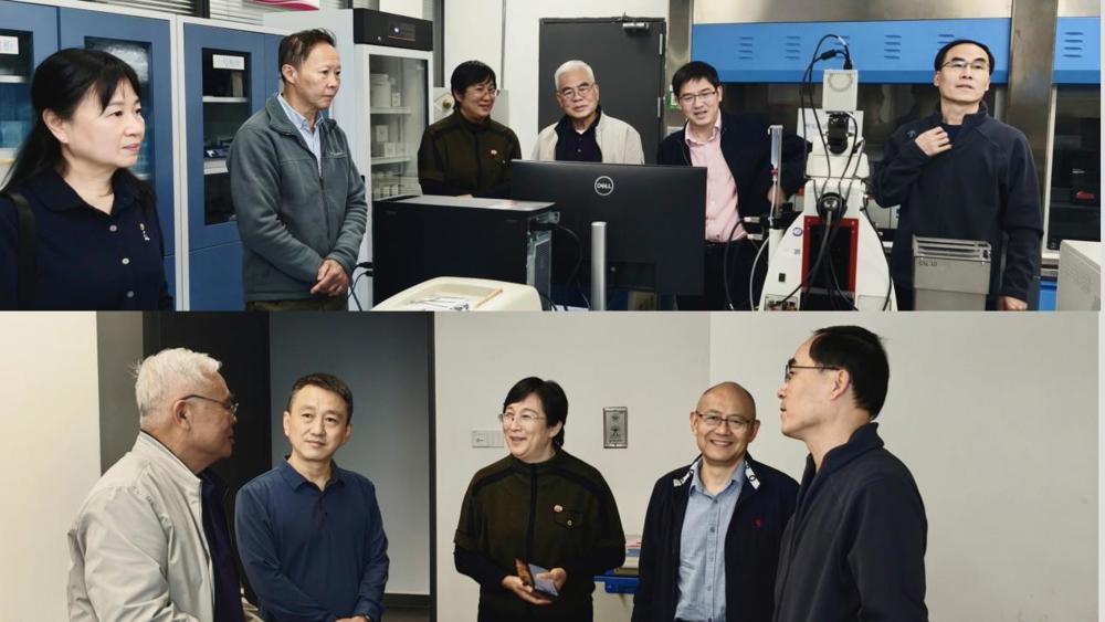 514ff1b92c8d2a14563186191f7fa159